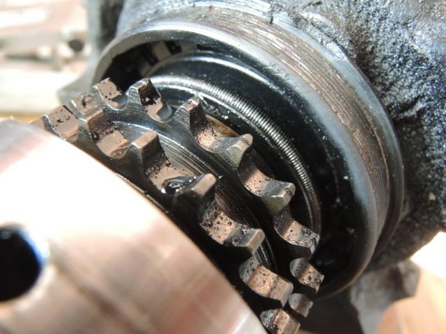 DSCN7242.jpg