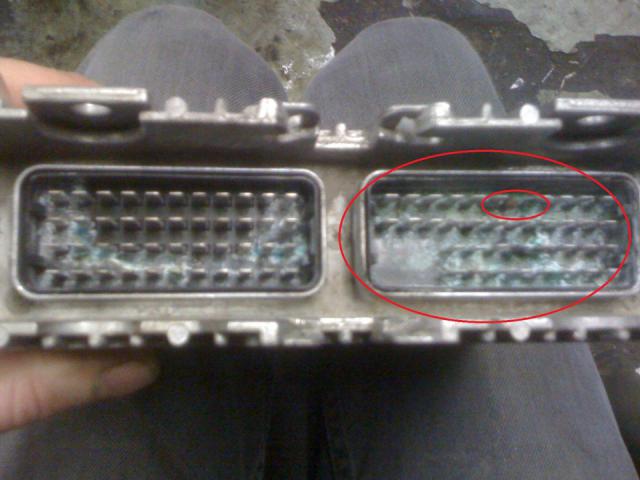 f7cb07u_960.jpg
