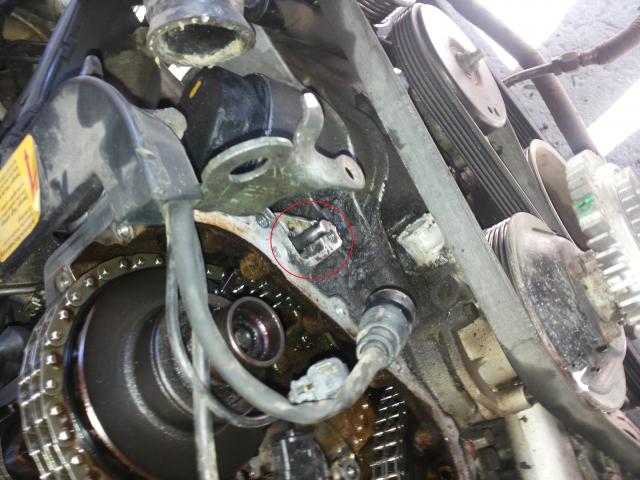 20140816_102917.jpg
