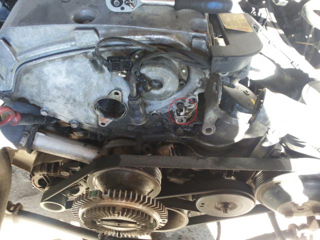 20140816_093151.jpg