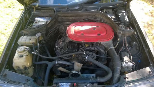 WP_20140927_005.jpg