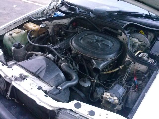 CAM00931.jpg