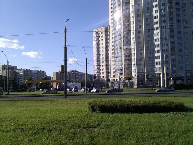 Z01.jpg