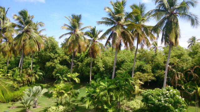 DSC_0044.JPG