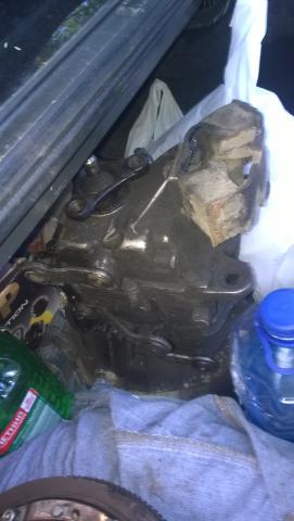 WP_20150607_002.jpg