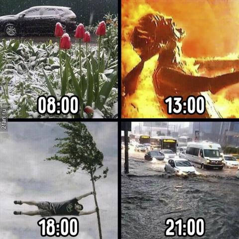 9998.jpg