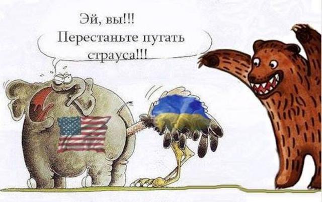e0b46db2b3e88016d3f3bfbfe82.jpg
