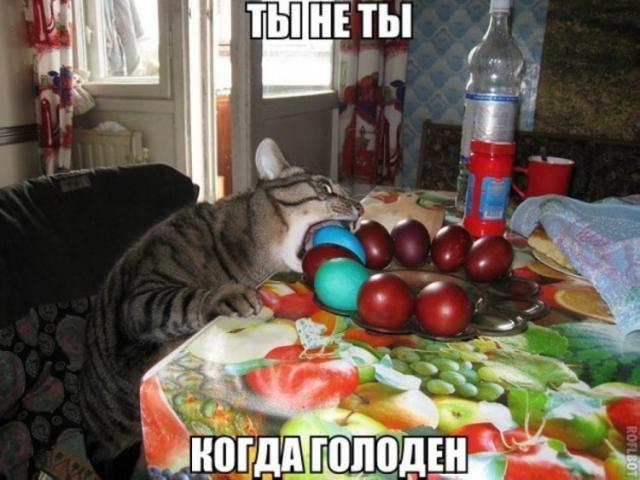 image_4_.jpg