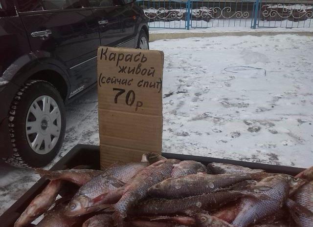 image_9_.jpg