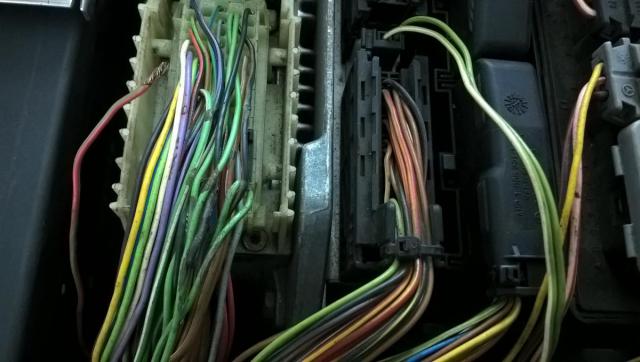 WP_20171113_17_39_05_Pro.jpg