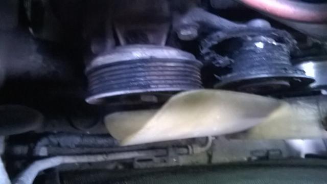 WP_20160725_005.jpg