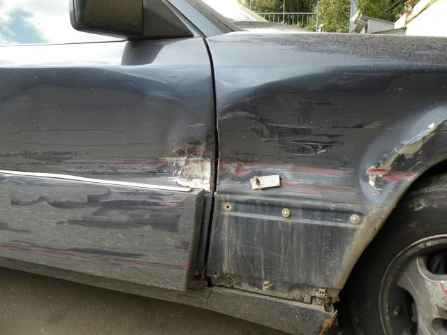 DSCN6364.JPG