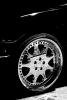 IMG_9373bw.jpg