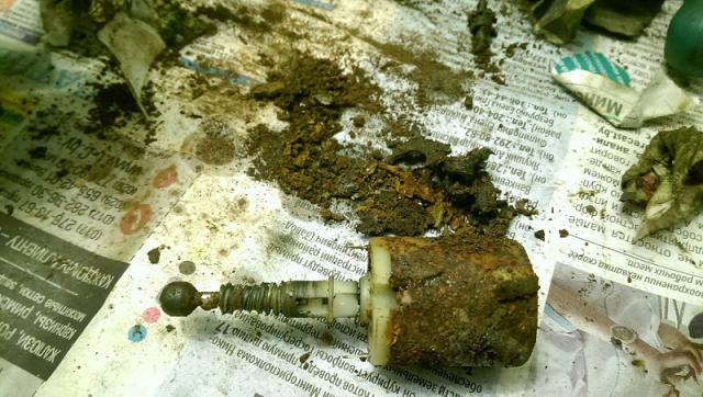 IMAG3384.jpg