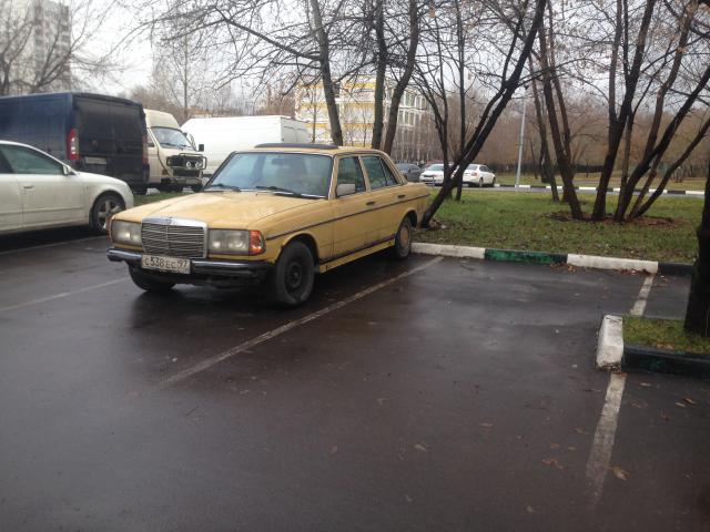 IMG_2732_1_.JPG