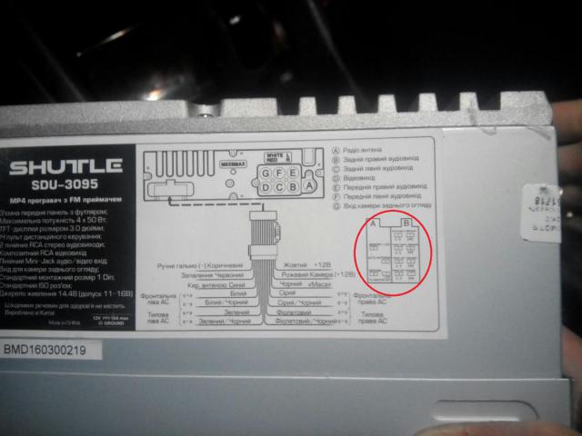IFGNREX-3_E.jpg