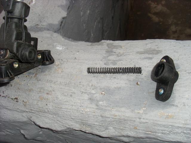 SL372473.JPG