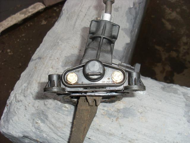 SL372472.JPG