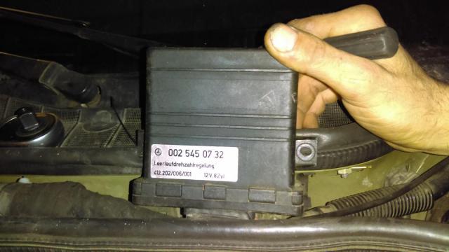 IMAG1153.jpg