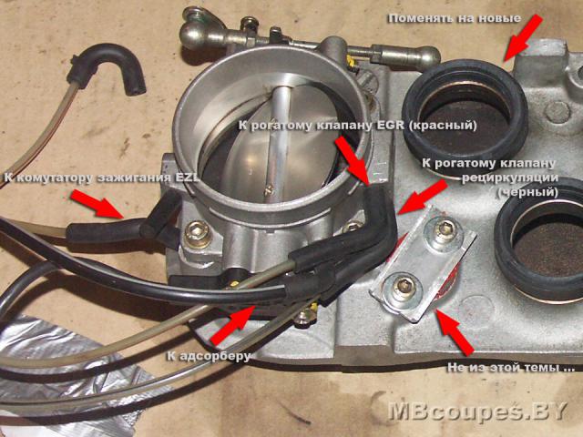 8674fcs_960.jpg