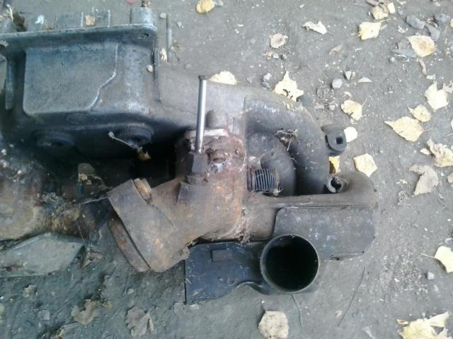 20201008_1136541.jpg