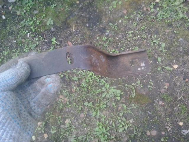 20210821_1255431.jpg