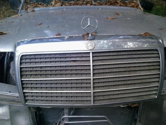 20210729_1606591.jpg