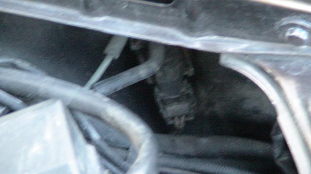 DSC03741.JPG