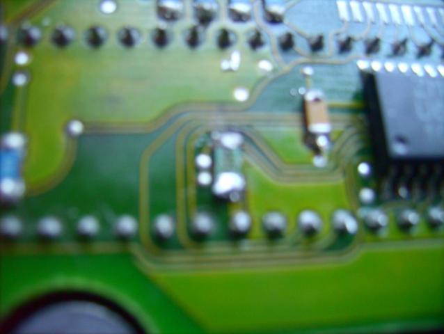 LPIC2543.JPG