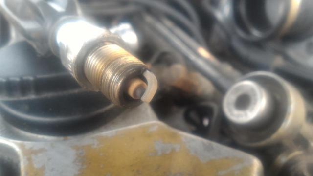 P_20170303_124528.jpg