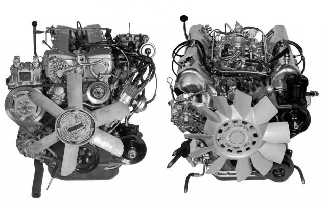 C8424.jpg