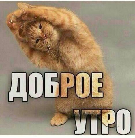 доброго утра.jpg