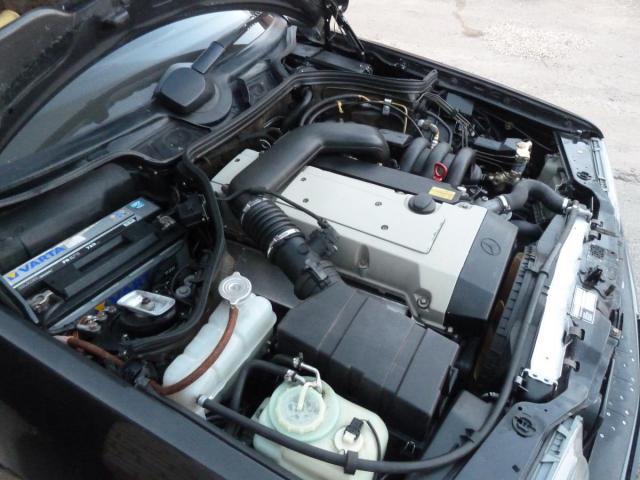 P1320006.JPG