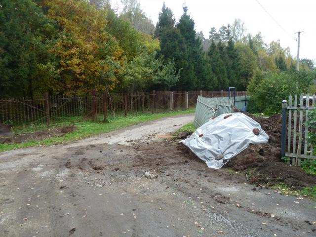 P1290959.JPG