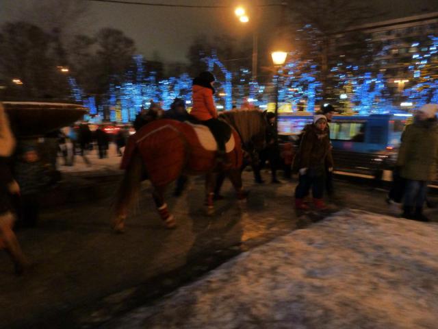 P1300793.JPG