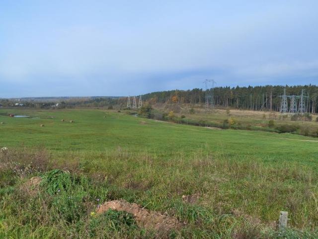 P1290939.JPG