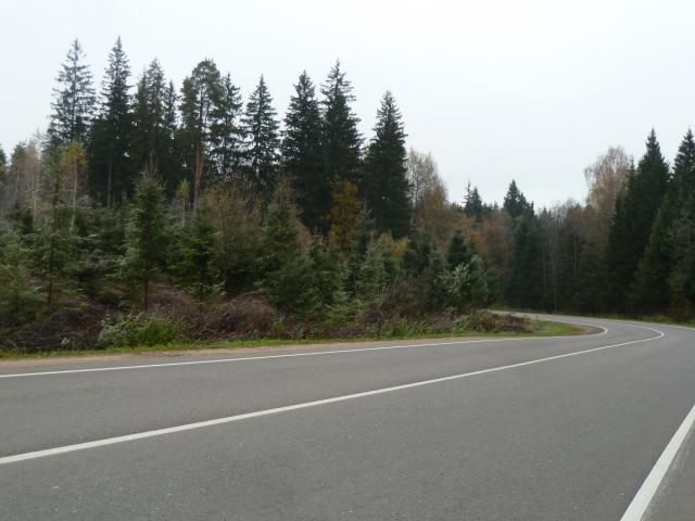 P1300036.JPG