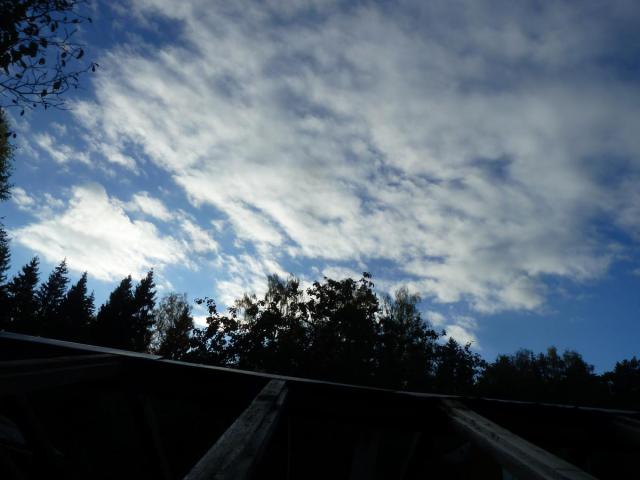 P1290864.JPG