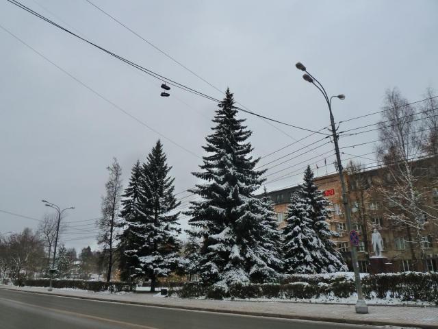 P1300117.JPG