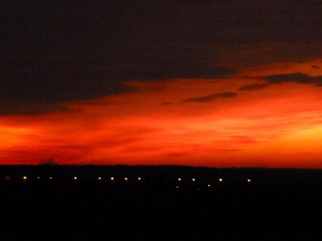 P1290886.JPG