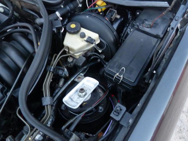P1320009.JPG