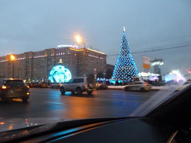 P1300781.JPG