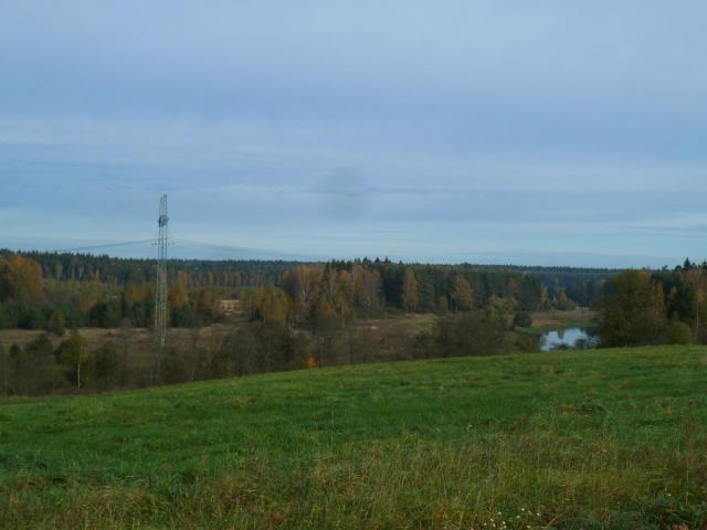 P1290938.JPG