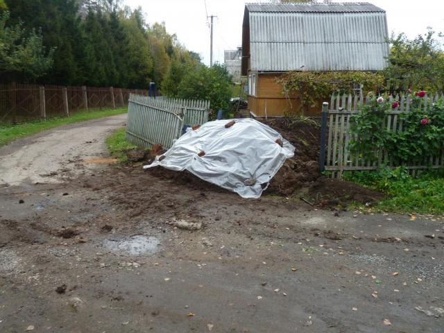 P1290958.JPG