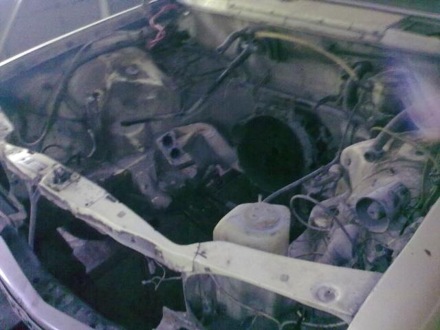 03072010006.jpg