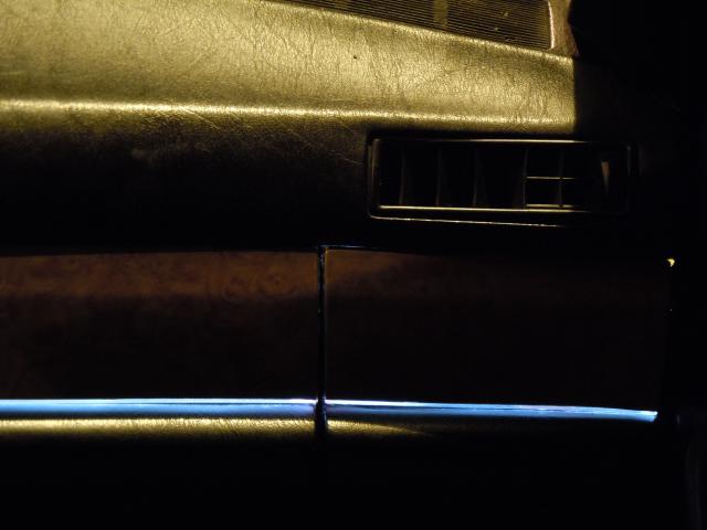 DSCN6422.JPG