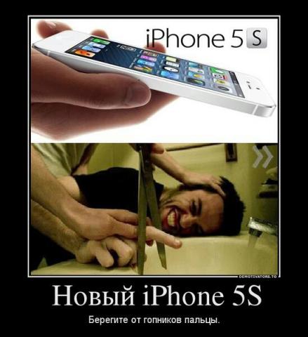 99013552.jpg