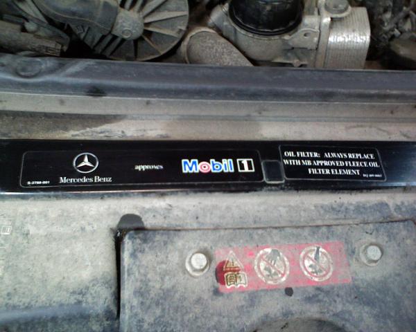 DSC00150_11.JPG