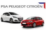 Peugeot и Citroen урежут свои российские линейки